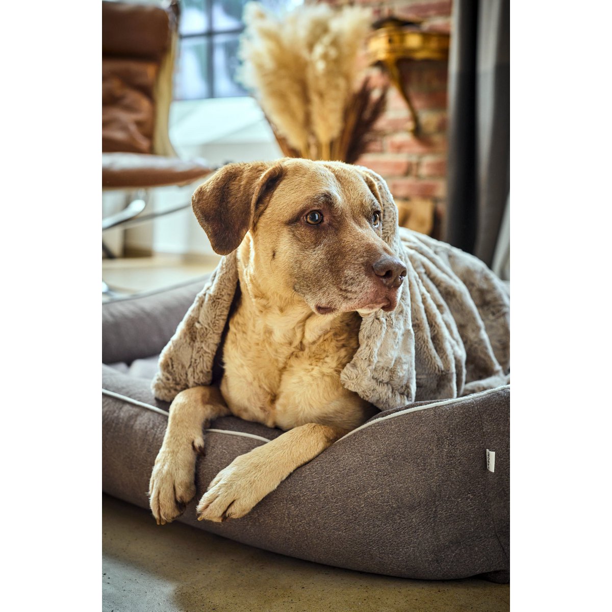 Decke COZY BEIGE - Edle Webpelz - Decke - Tiny Paws Boutique