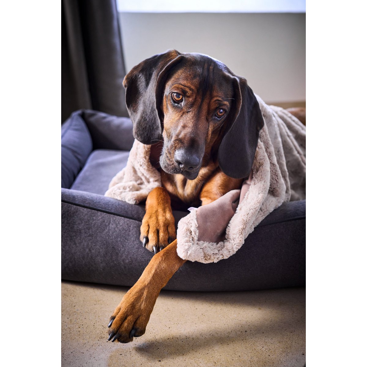 Decke COZY BEIGE - Edle Webpelz - Decke - Tiny Paws Boutique