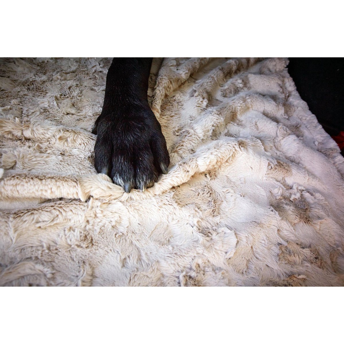 Decke COZY BEIGE - Edle Webpelz - Decke - Tiny Paws Boutique