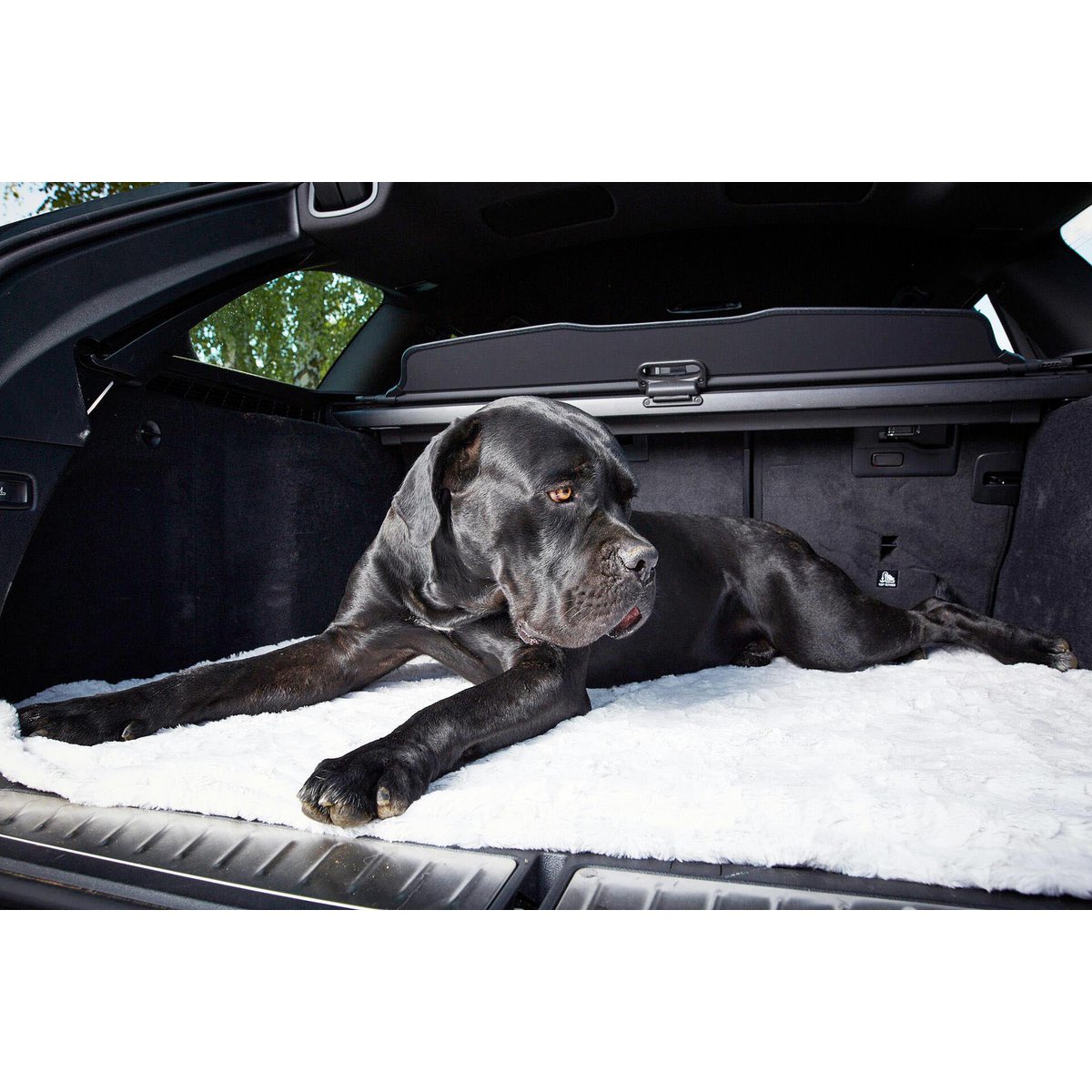 Decke COZY LIGHT GREY - Edle Webpelz - Decke - Tiny Paws Boutique