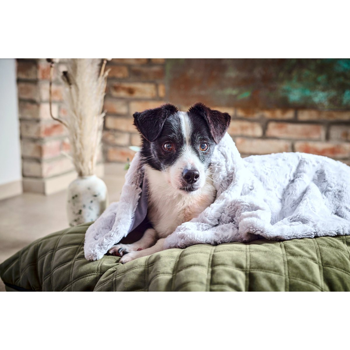 Decke COZY LIGHT GREY - Edle Webpelz - Decke - Tiny Paws Boutique
