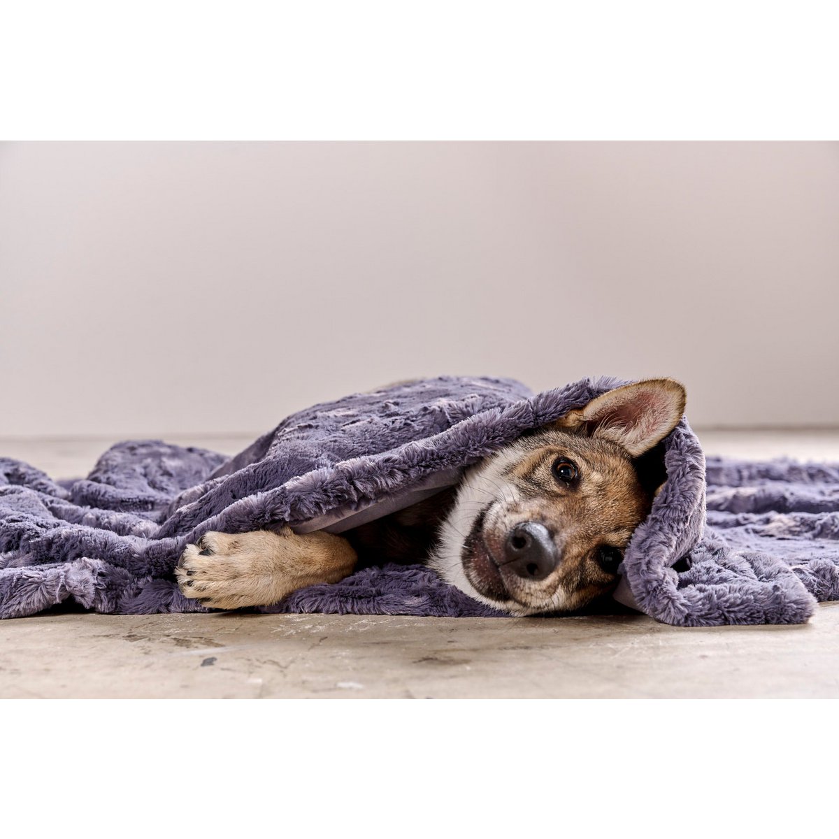 Decke COZY STONE - Edle Webpelz - Decke - Tiny Paws Boutique