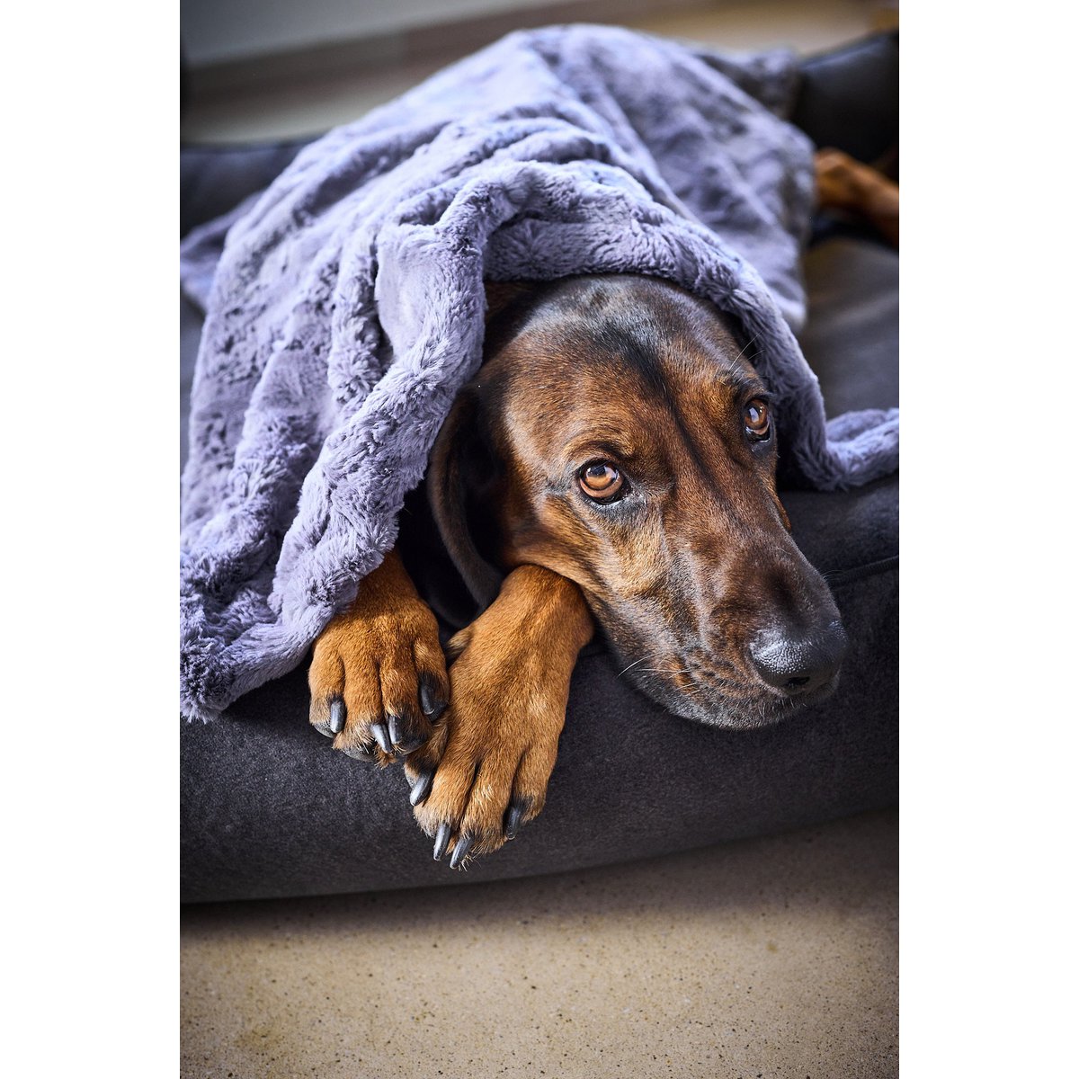 Decke COZY STONE - Edle Webpelz - Decke - Tiny Paws Boutique