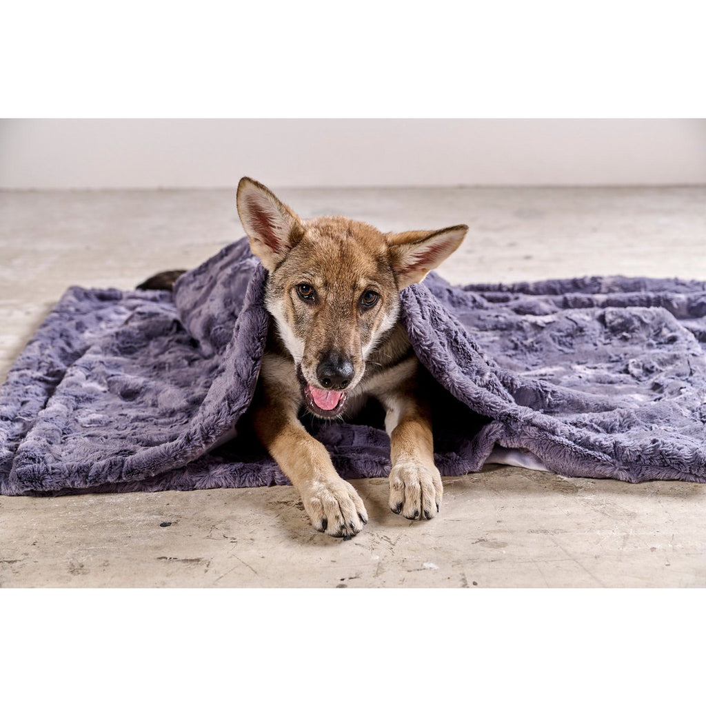 Decke COZY STONE - Edle Webpelz - Decke - Tiny Paws Boutique