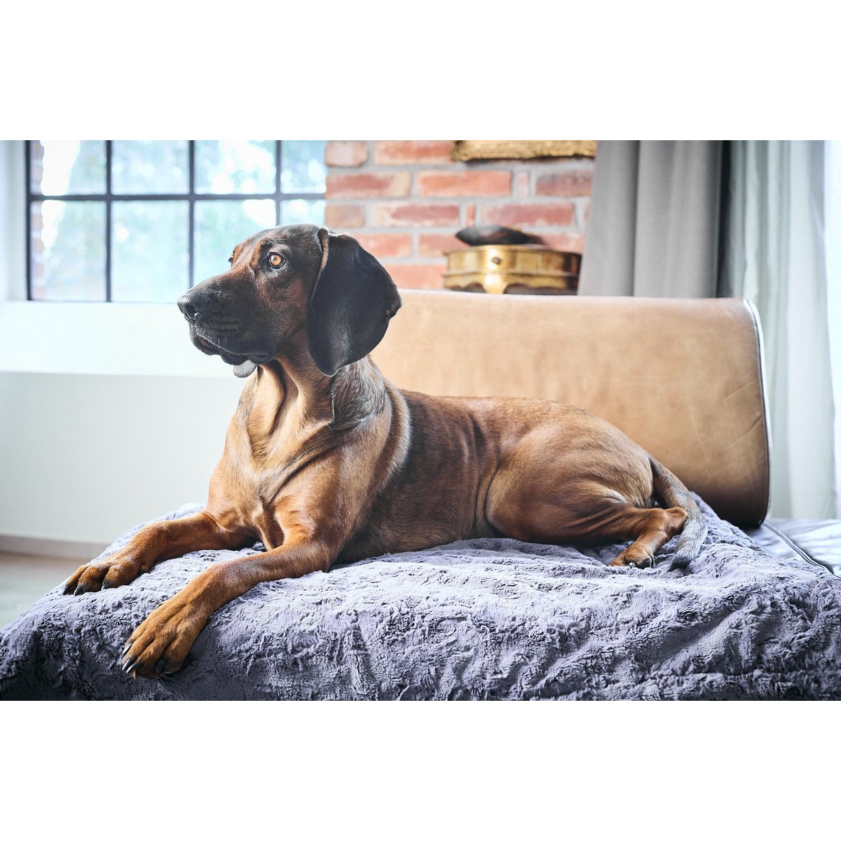 Decke COZY STONE - Edle Webpelz - Decke - Tiny Paws Boutique