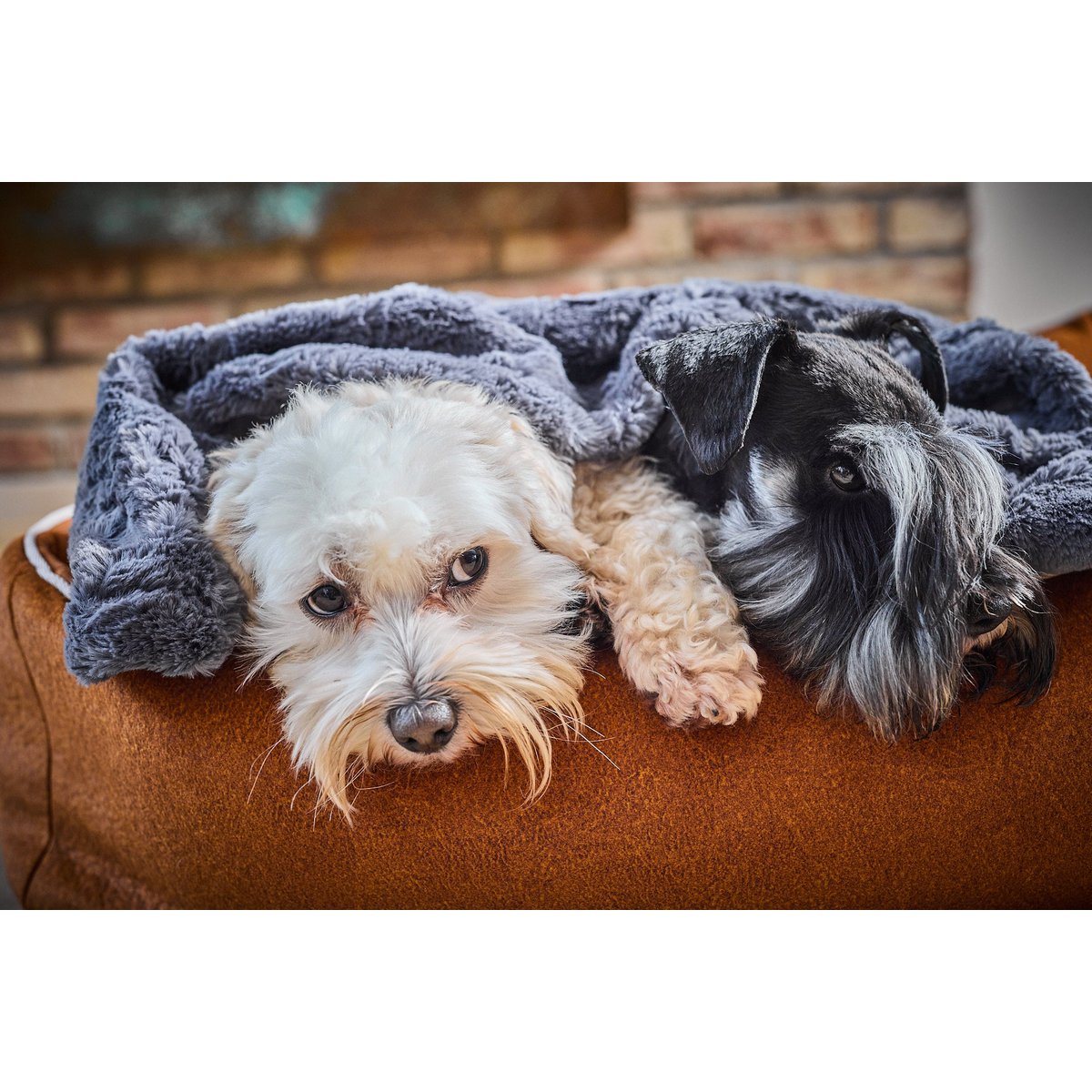 Decke COZY STONE - Edle Webpelz - Decke - Tiny Paws Boutique