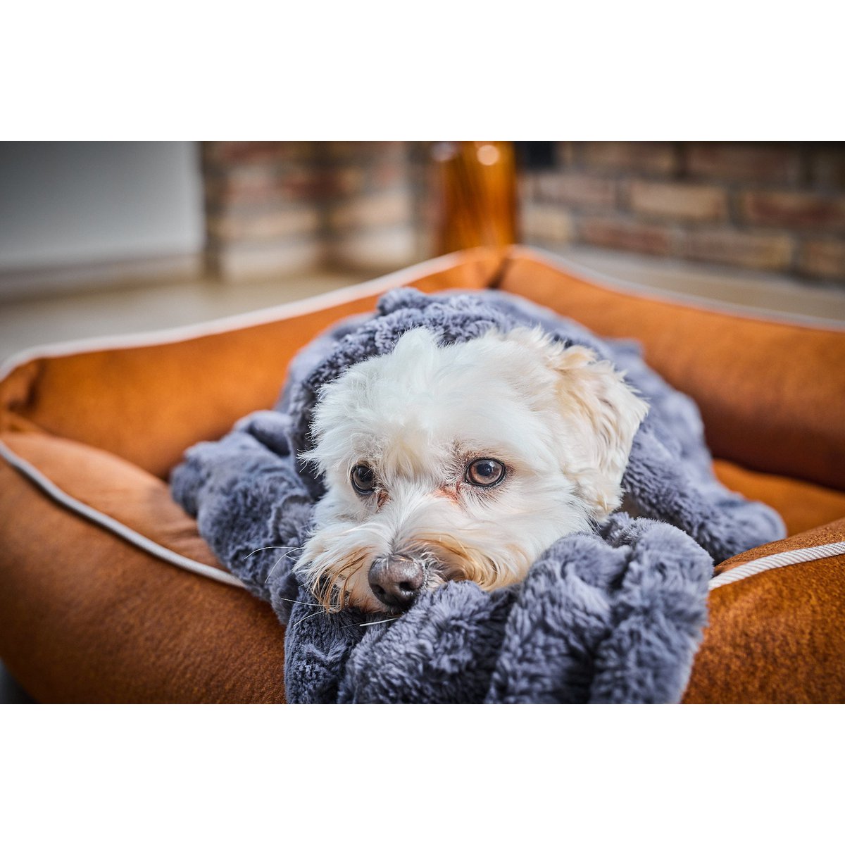 Decke COZY STONE - Edle Webpelz - Decke - Tiny Paws Boutique