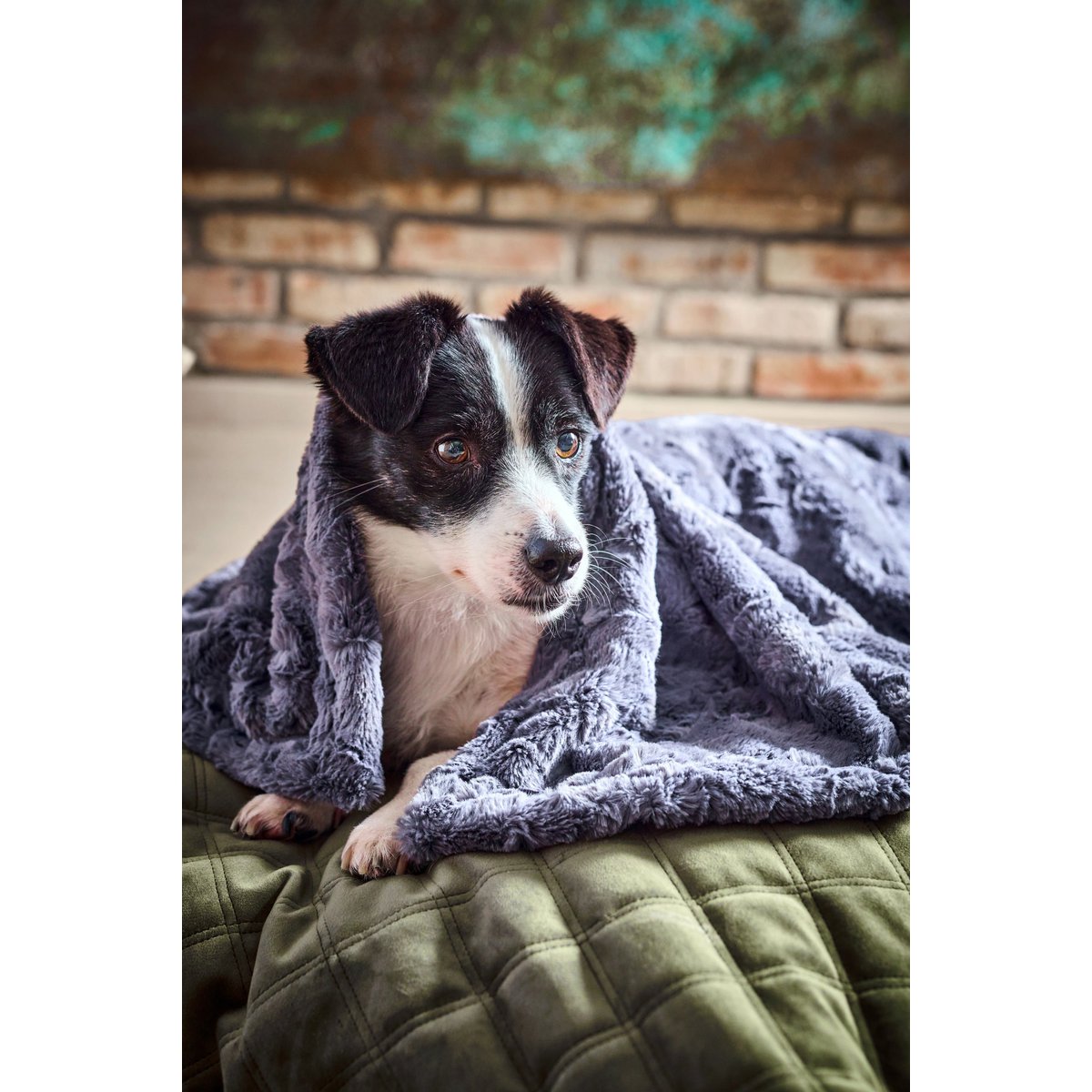 Decke COZY STONE - Edle Webpelz - Decke - Tiny Paws Boutique