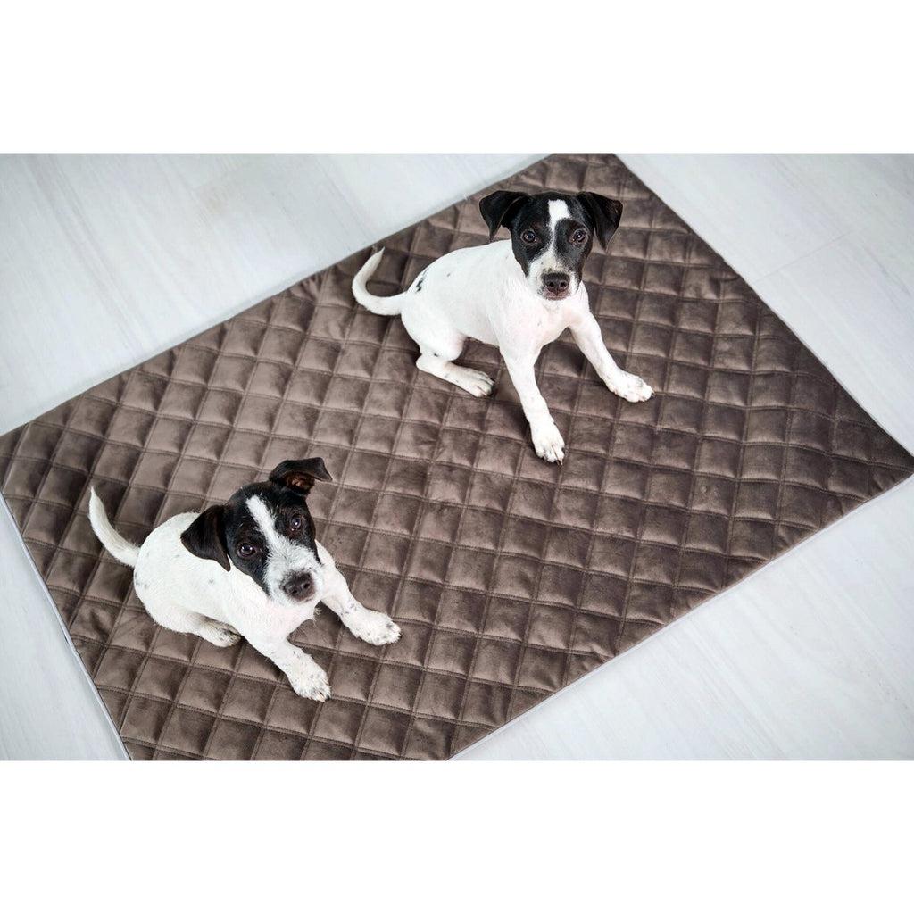 Decke OXFORD Stone - strapazierfähige Hundedecke in edler Samtoptik - Tiny Paws Boutique