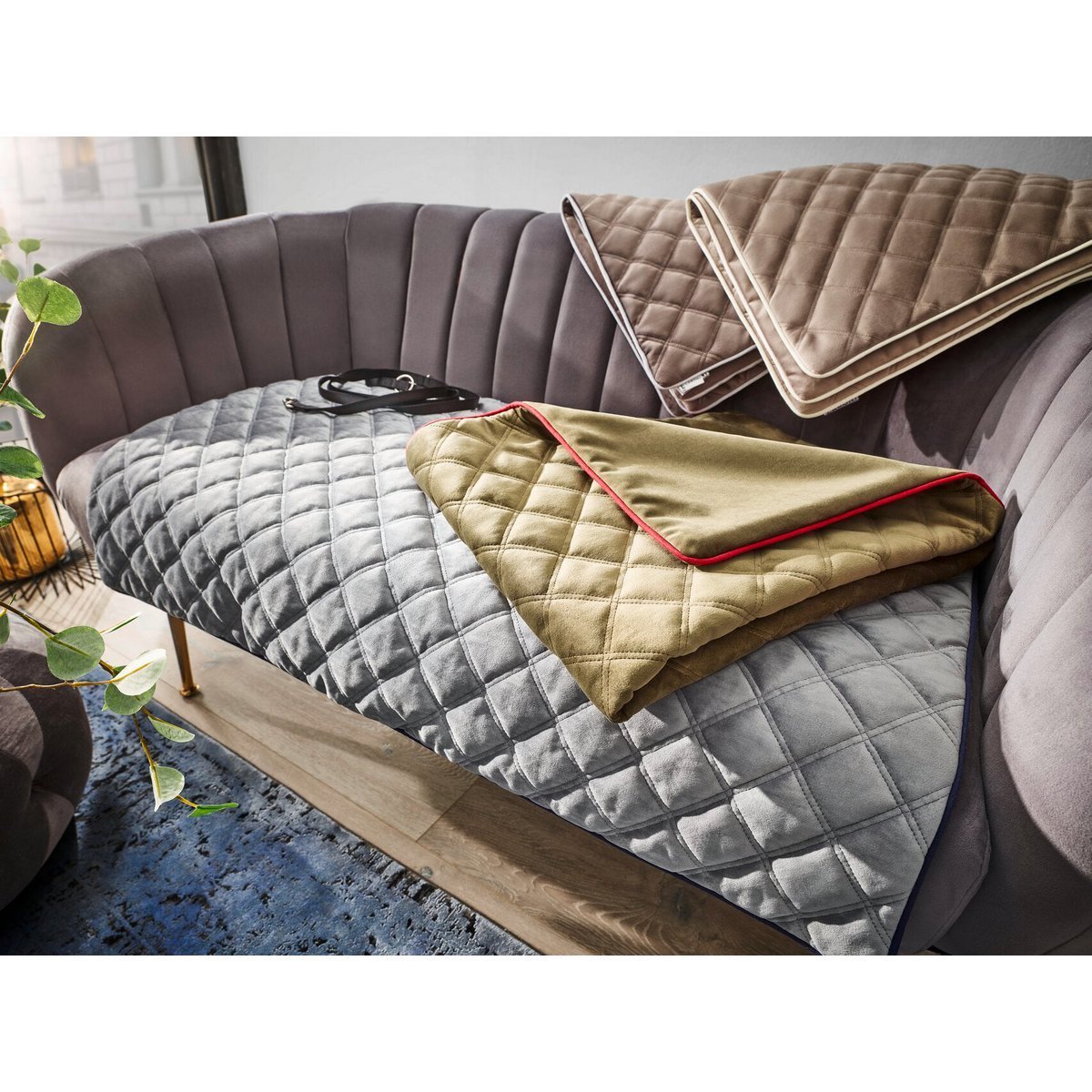 Decke OXFORD Stone - strapazierfähige Hundedecke in edler Samtoptik - Tiny Paws Boutique