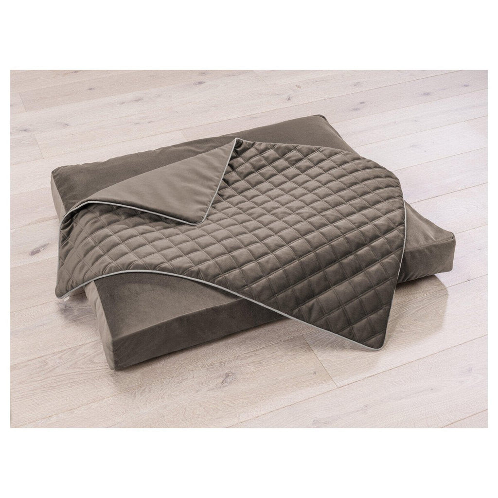 Decke OXFORD Stone - strapazierfähige Hundedecke in edler Samtoptik - Tiny Paws Boutique