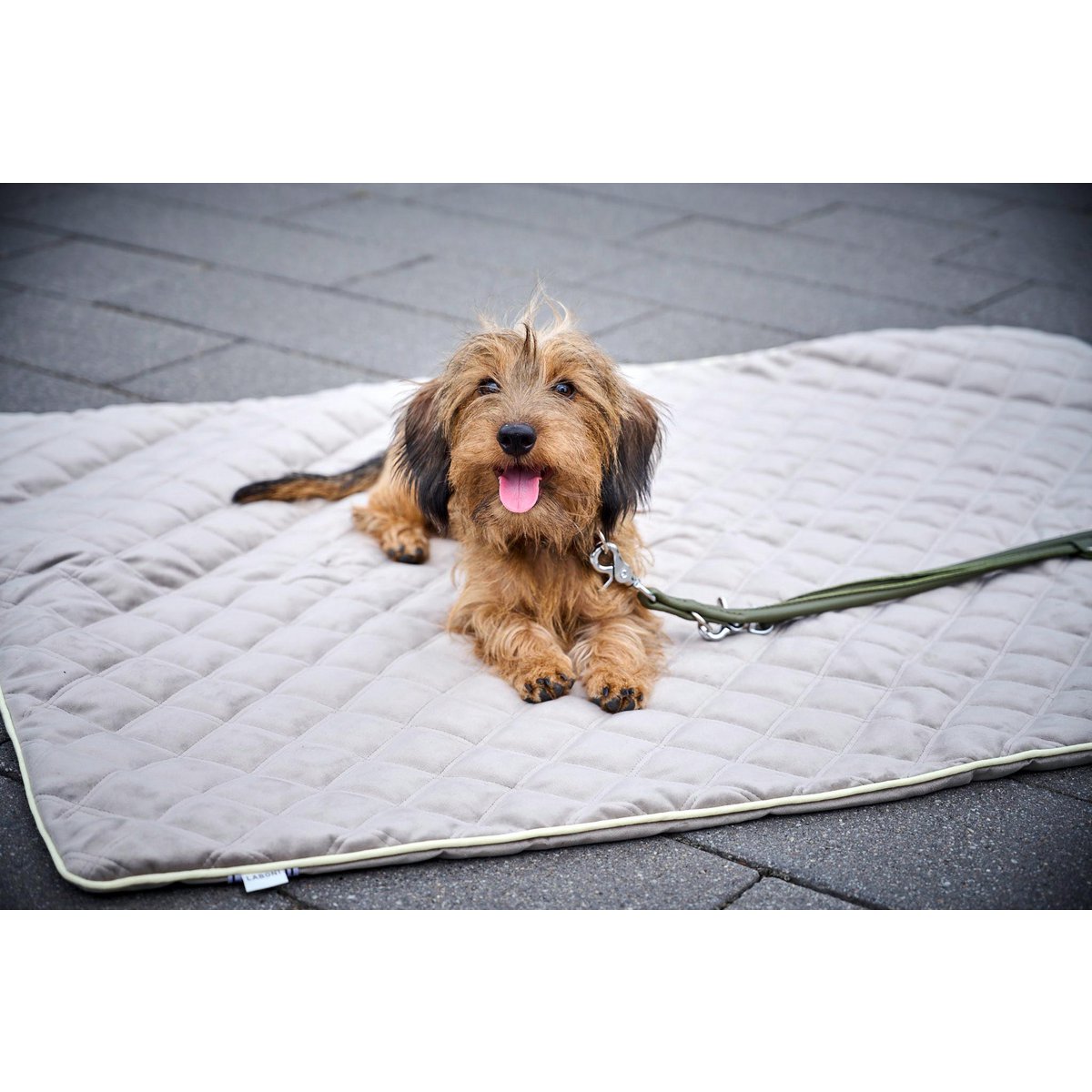 Decke OXFORD Taupe - strapazierfähige Hundedecke in edler Samtoptik - Tiny Paws Boutique