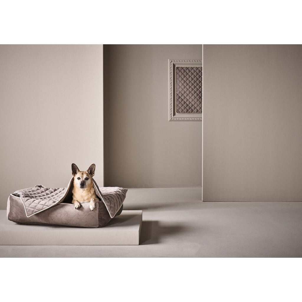 Decke OXFORD Taupe - strapazierfähige Hundedecke in edler Samtoptik - Tiny Paws Boutique