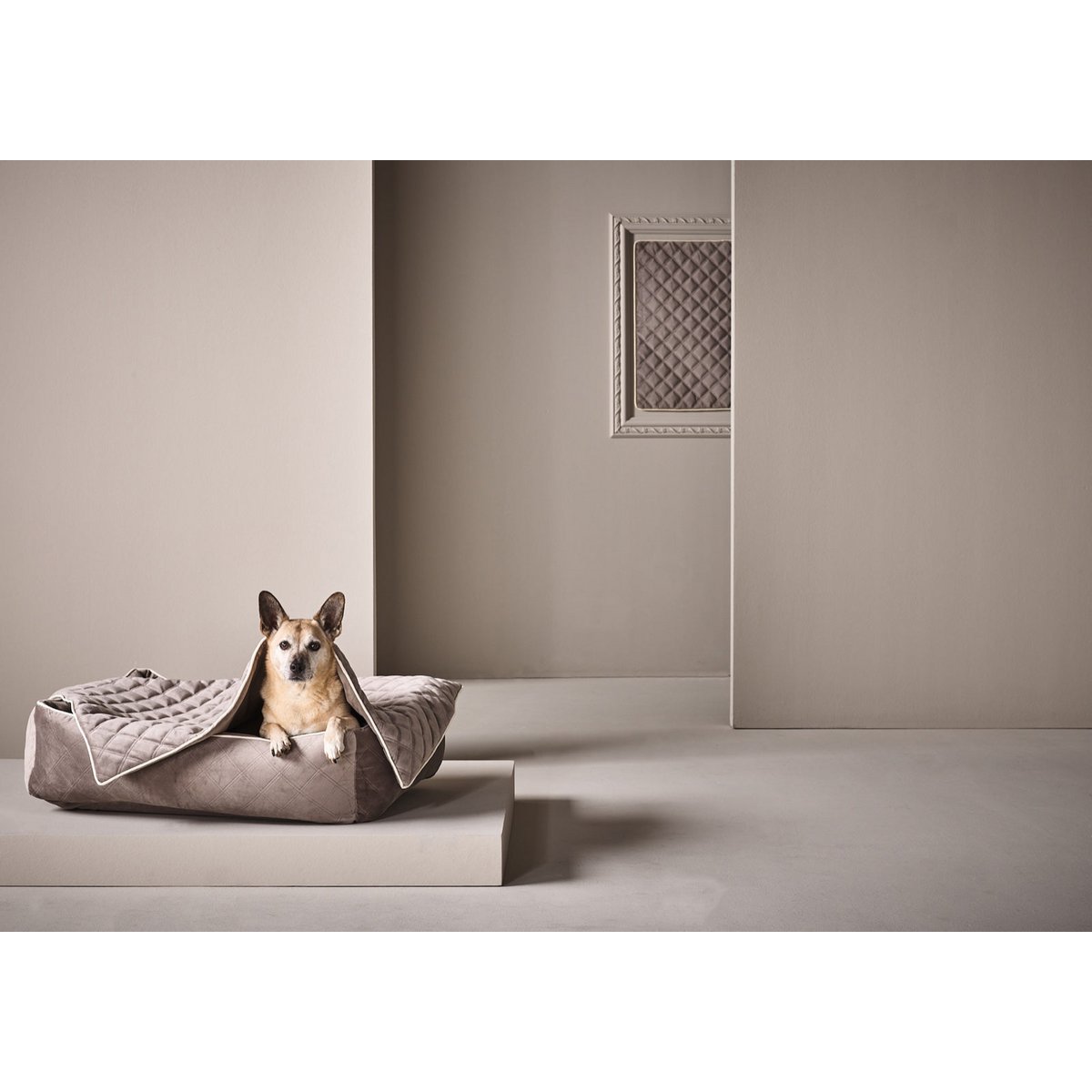 Decke OXFORD Taupe - strapazierfähige Hundedecke in edler Samtoptik - Tiny Paws Boutique