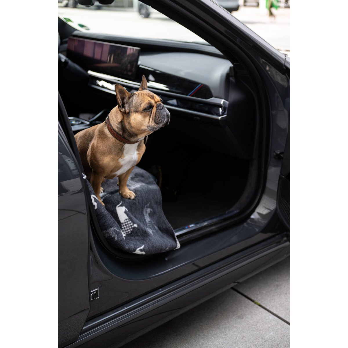 Decke TECKEL - Wendedecke mit Dackelmotiv - Tiny Paws Boutique