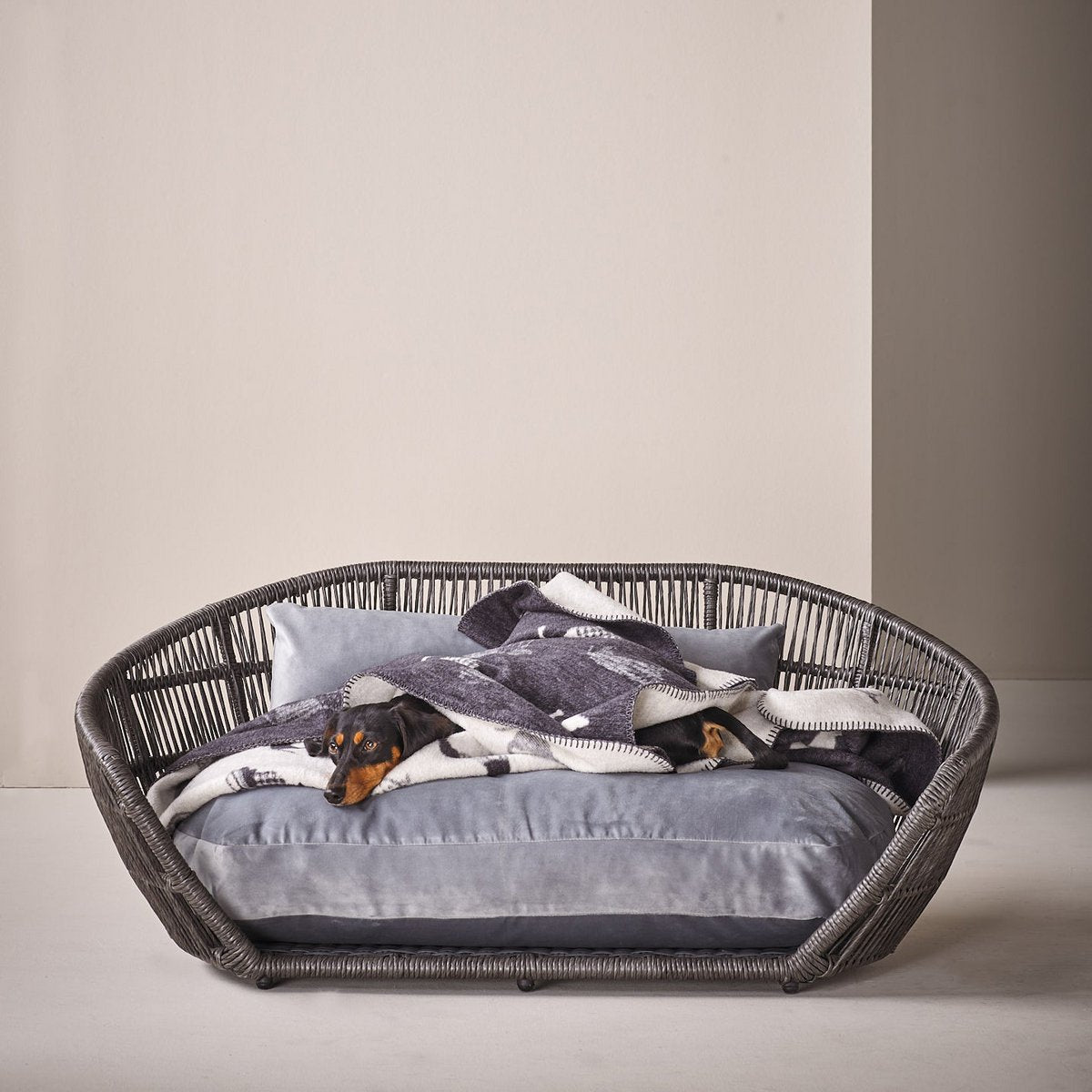 Decke TECKEL - Wendedecke mit Dackelmotiv - Tiny Paws Boutique