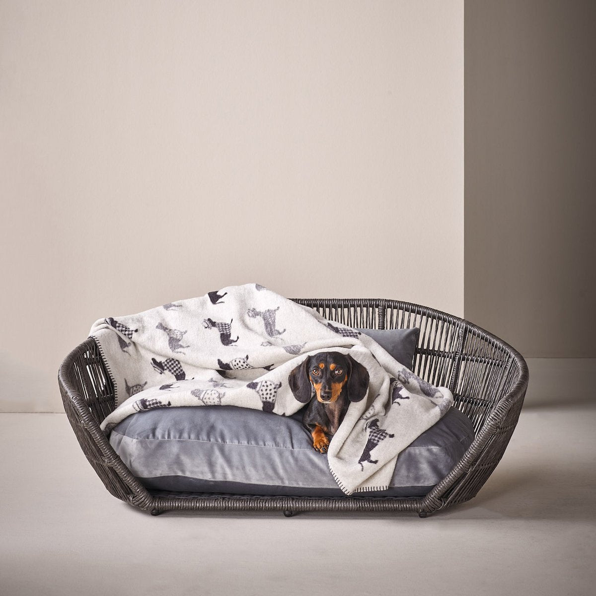 Decke TECKEL - Wendedecke mit Dackelmotiv - Tiny Paws Boutique