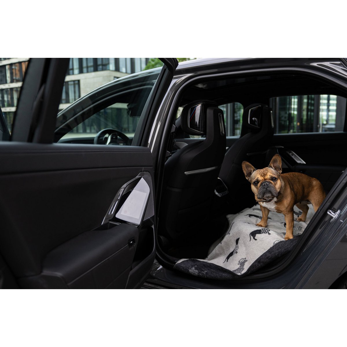 Decke TECKEL - Wendedecke mit Dackelmotiv - Tiny Paws Boutique