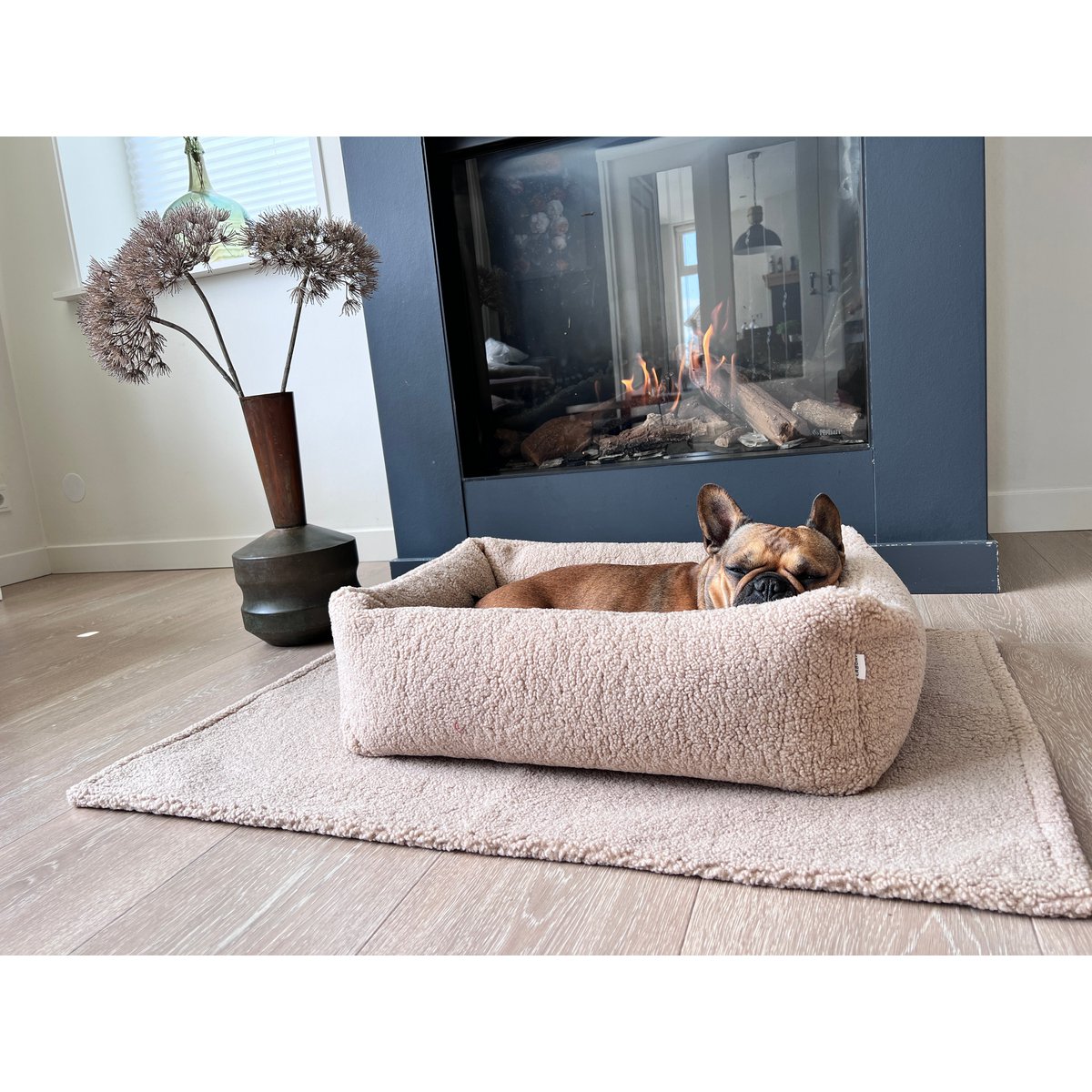 Decke TEDDY CREME - Multifunktions - Decke - Tiny Paws Boutique
