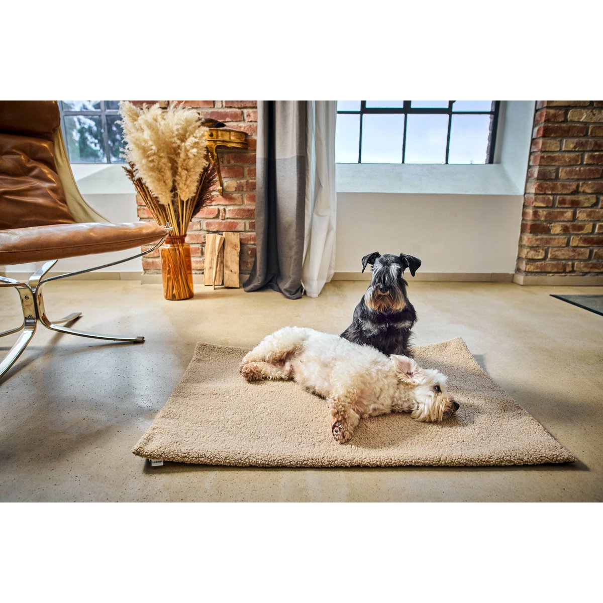 Decke TEDDY CREME - Multifunktions - Decke - Tiny Paws Boutique