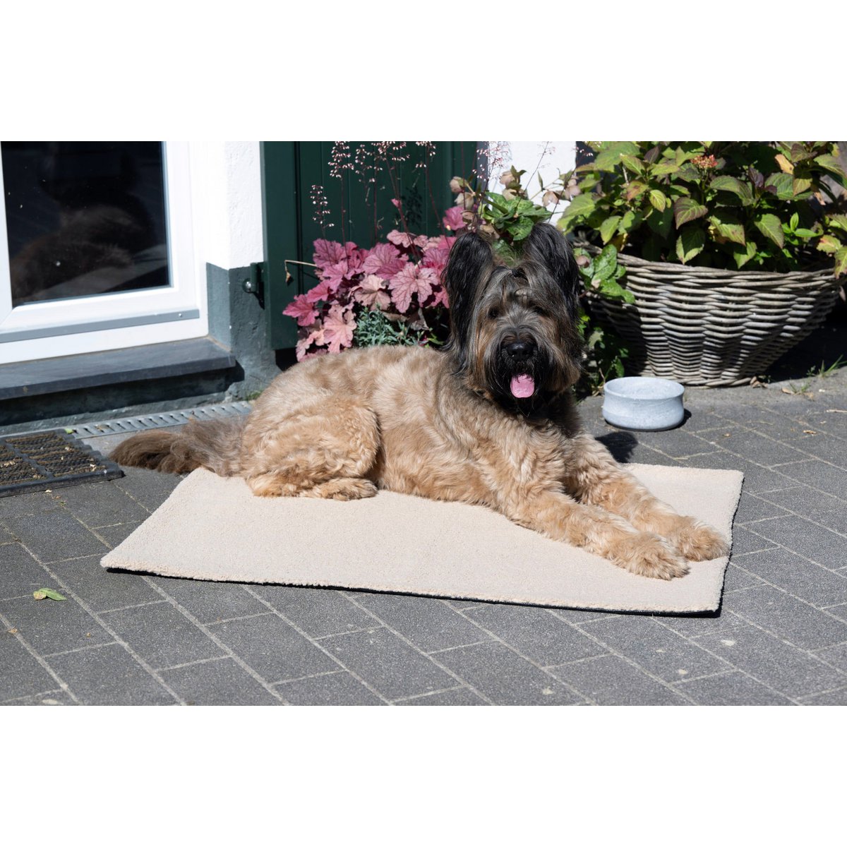 Decke TEDDY CREME - Multifunktions - Decke - Tiny Paws Boutique