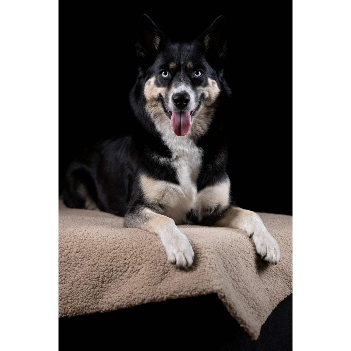 Decke TEDDY CREME - Multifunktions - Decke - Tiny Paws Boutique