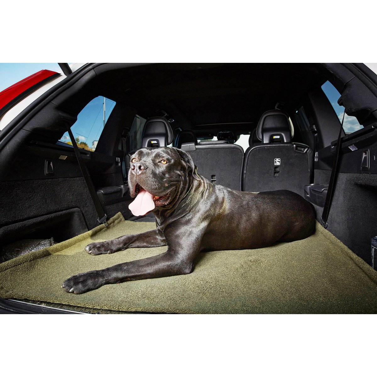 Decke TEDDY GREEN - Multifunktions - Decke - Tiny Paws Boutique