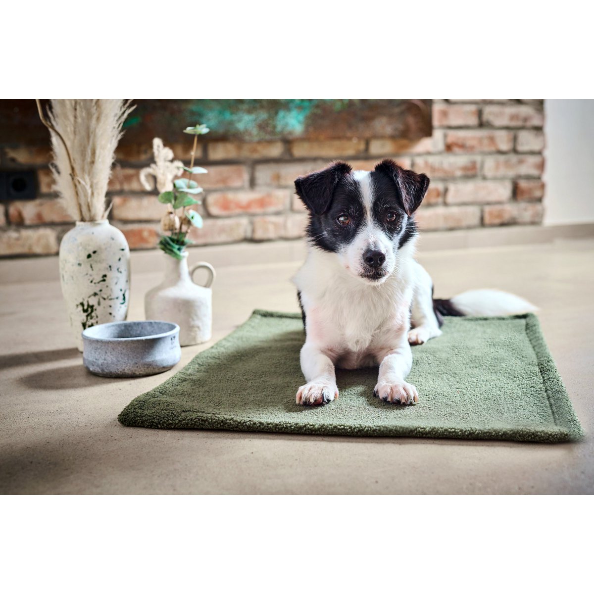 Decke TEDDY GREEN - Multifunktions - Decke - Tiny Paws Boutique