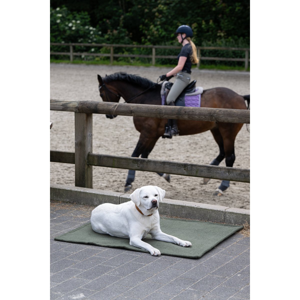 Decke TEDDY GREEN - Multifunktions - Decke - Tiny Paws Boutique