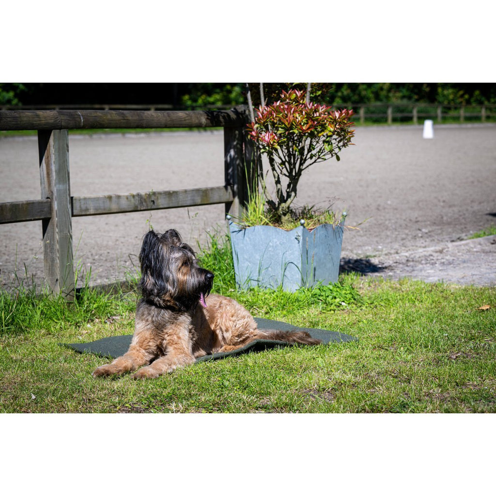 Decke TEDDY GREEN - Multifunktions - Decke - Tiny Paws Boutique