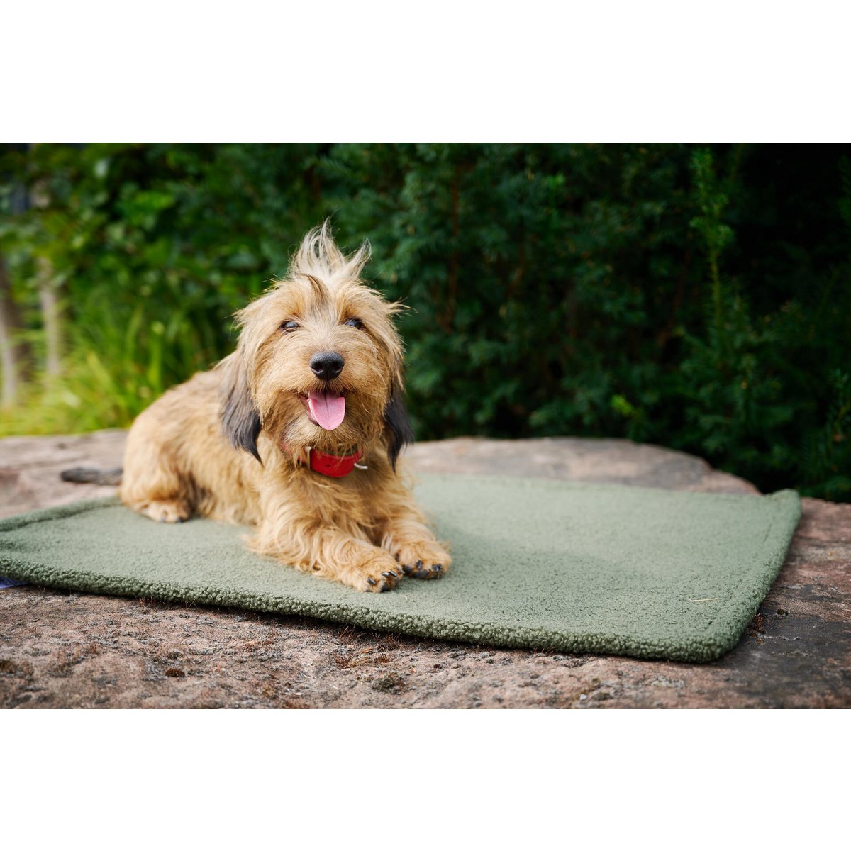 Decke TEDDY GREEN - Multifunktions - Decke - Tiny Paws Boutique