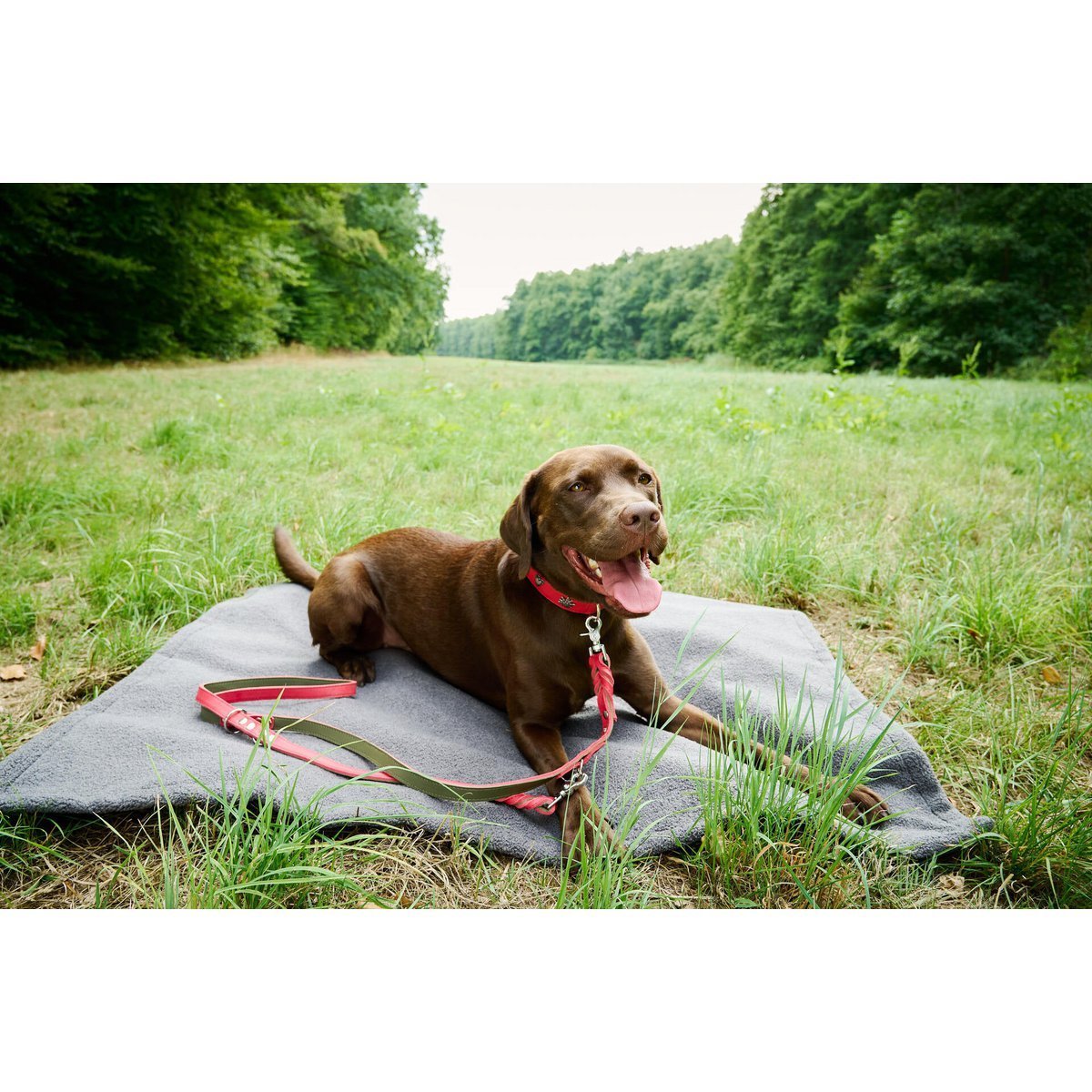 Decke TEDDY GREY - Multifunktions - Decke - Tiny Paws Boutique