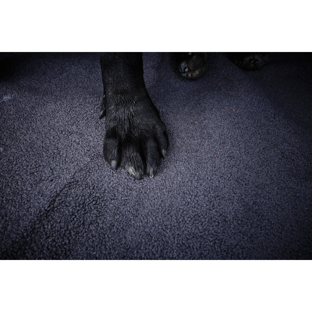 Decke TEDDY GREY - Multifunktions - Decke - Tiny Paws Boutique