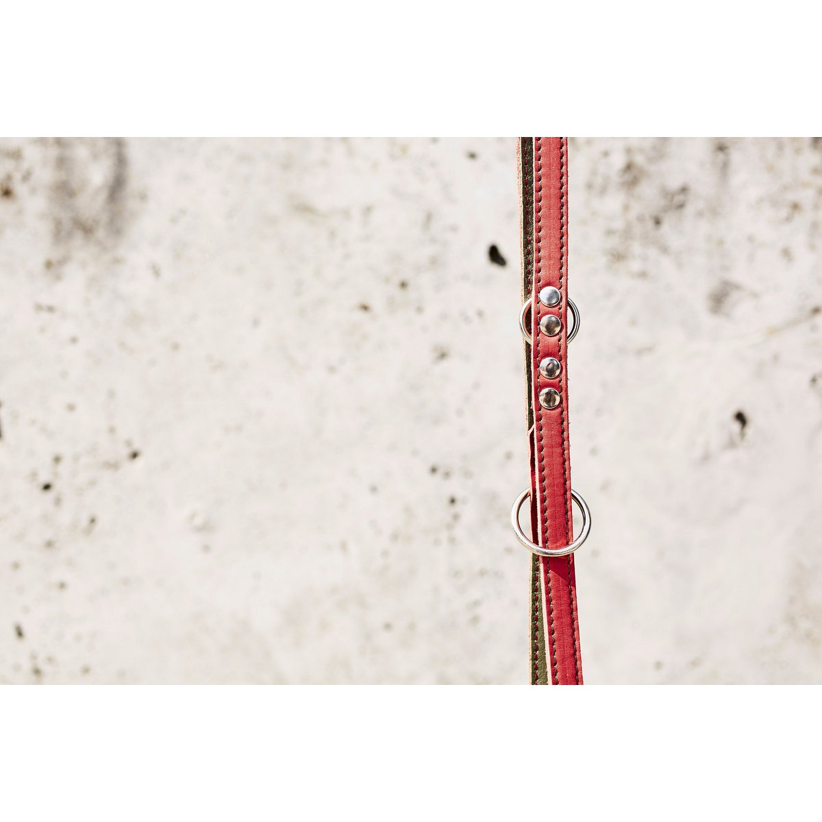 EDELWEISS - Raffinierte Hundeleine aus robustem Fettleder mit handgeflochtenen Details - Tiny Paws Boutique