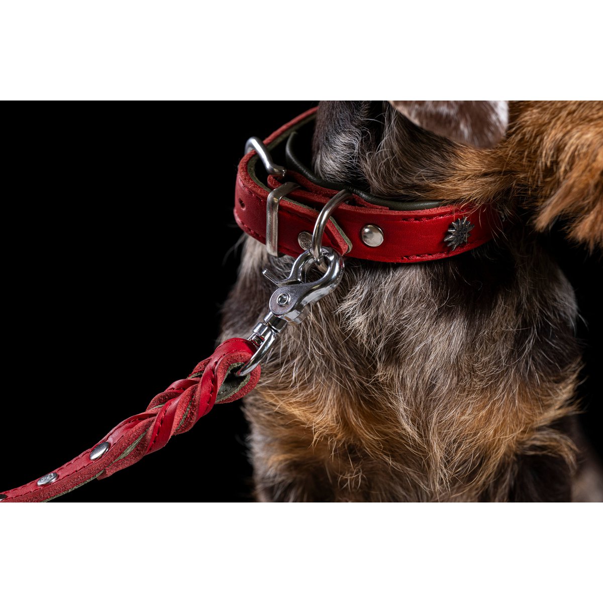 EDELWEISS - Raffinierte Hundeleine aus robustem Fettleder mit handgeflochtenen Details - Tiny Paws Boutique