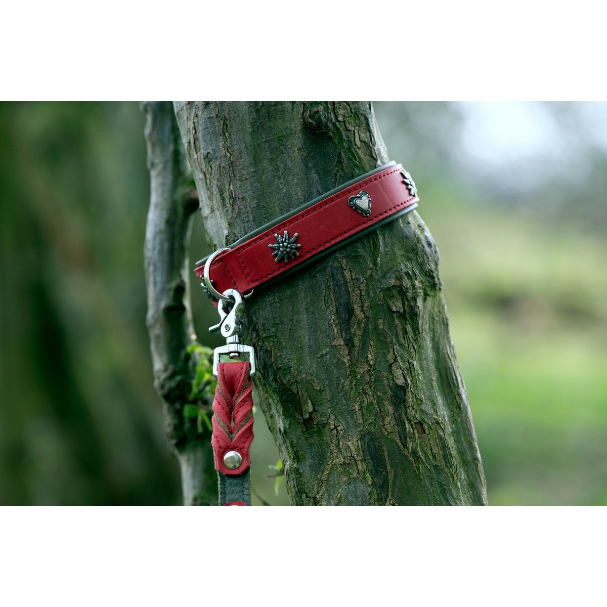 EDELWEISS - Raffinierte Hundeleine aus robustem Fettleder mit handgeflochtenen Details - Tiny Paws Boutique