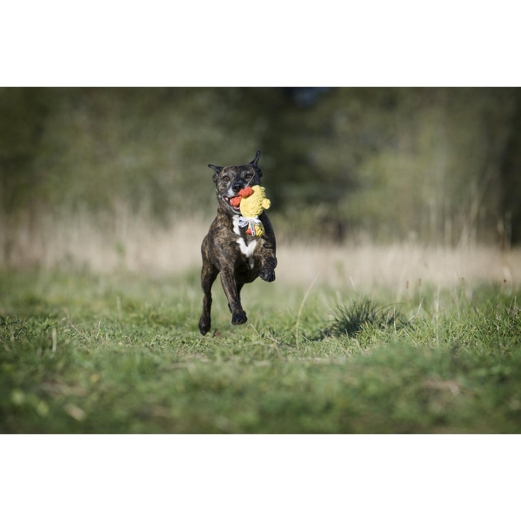 Emma Ente - Kult - Spielzeug für Hunde - Tiny Paws Boutique
