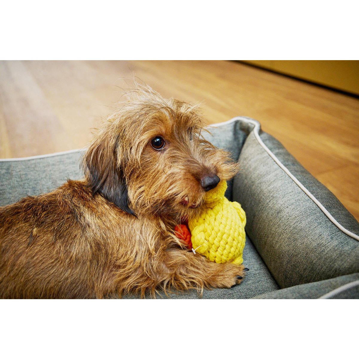 Emma Ente - Kult - Spielzeug für Hunde - Tiny Paws Boutique