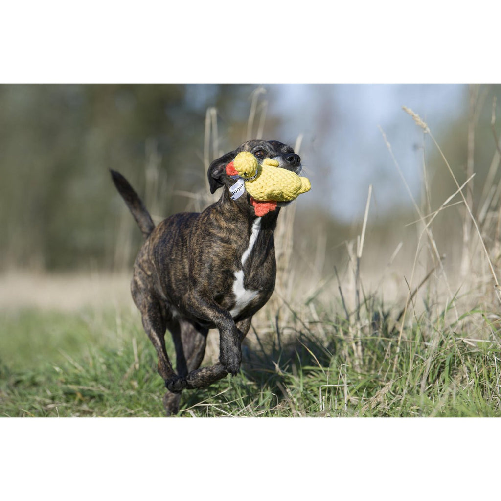 Emma Ente - Kult - Spielzeug für Hunde - Tiny Paws Boutique