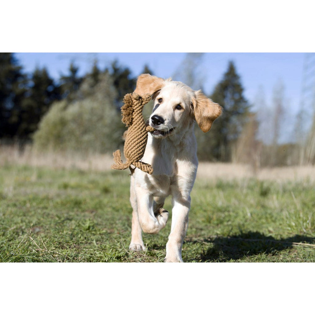 Franz Pferdinand - Kult - Spielzeug für Hunde - Tiny Paws Boutique