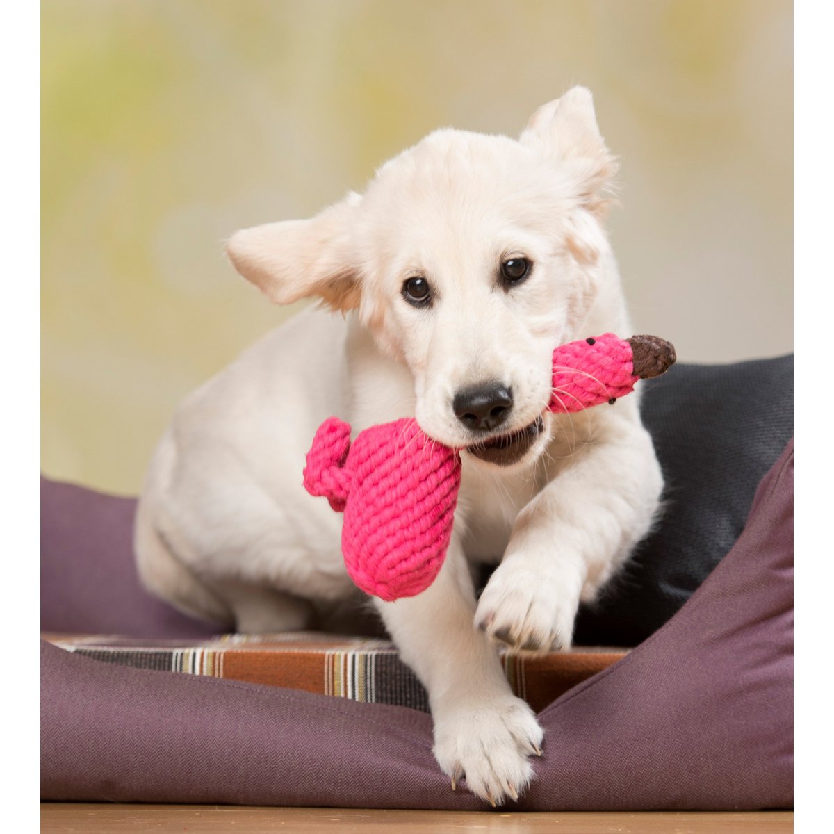 Franzi Flamingo - Kult - Spielzeug für Hunde - Tiny Paws Boutique