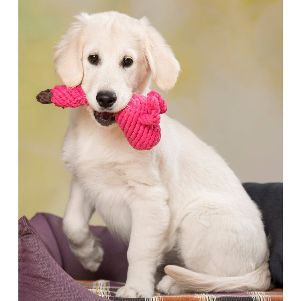Franzi Flamingo - Kult - Spielzeug für Hunde - Tiny Paws Boutique