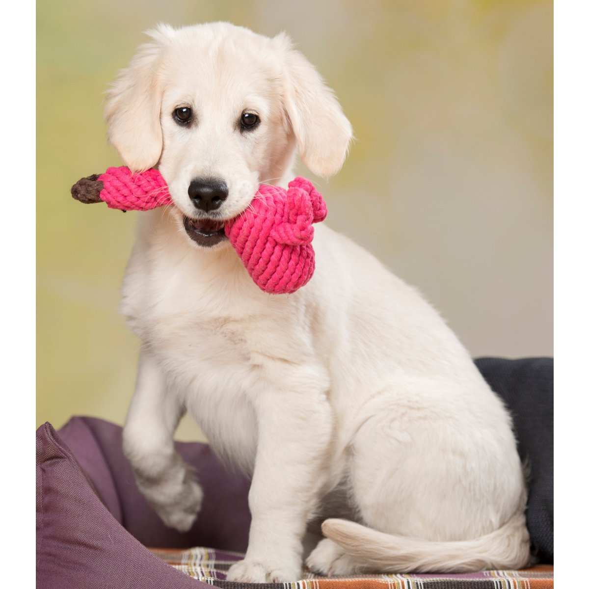 Franzi Flamingo - Kult - Spielzeug für Hunde - Tiny Paws Boutique
