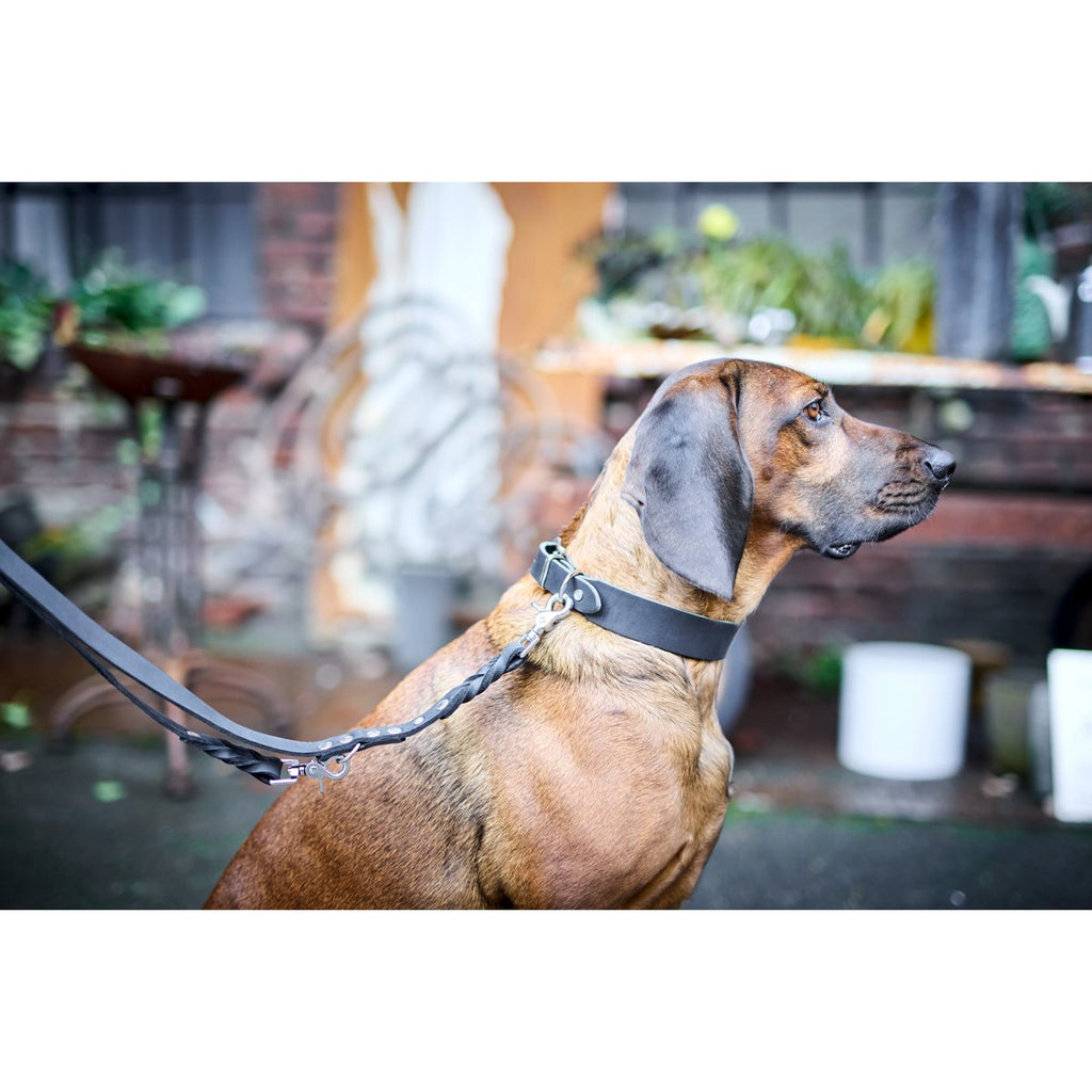 GIRO Black - Klassische Leine für jeden Einsatz - Tiny Paws Boutique