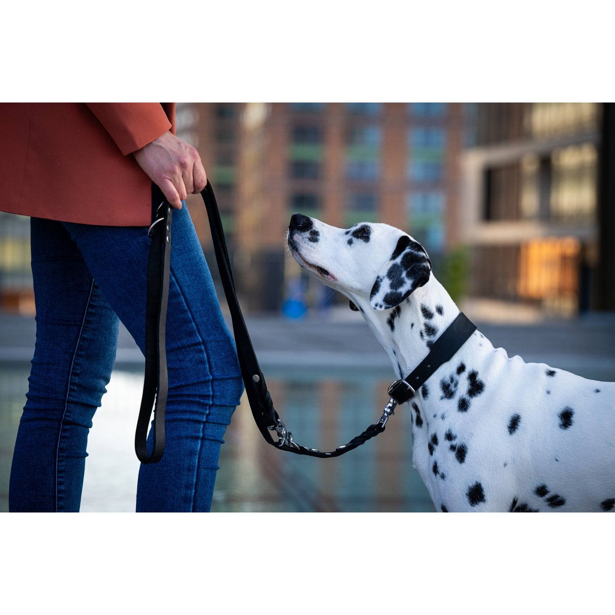 GIRO Black - Klassische Leine für jeden Einsatz - Tiny Paws Boutique