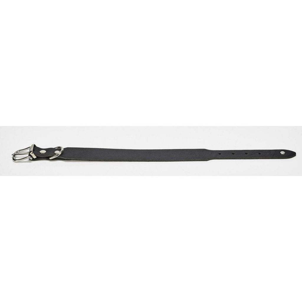GIRO Black - Klassisches Halsband für jeden Einsatz - Tiny Paws Boutique