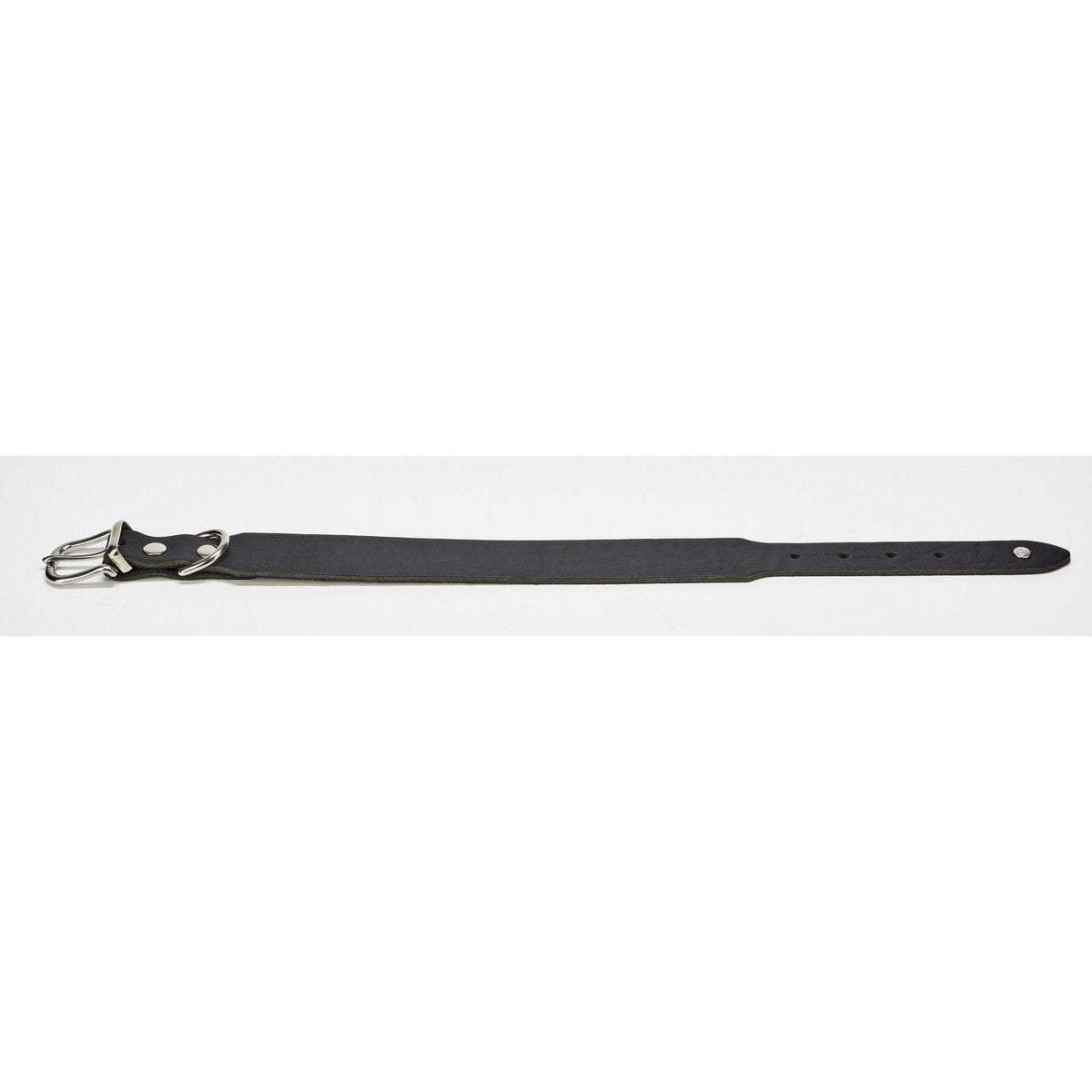GIRO Black - Klassisches Halsband für jeden Einsatz - Tiny Paws Boutique