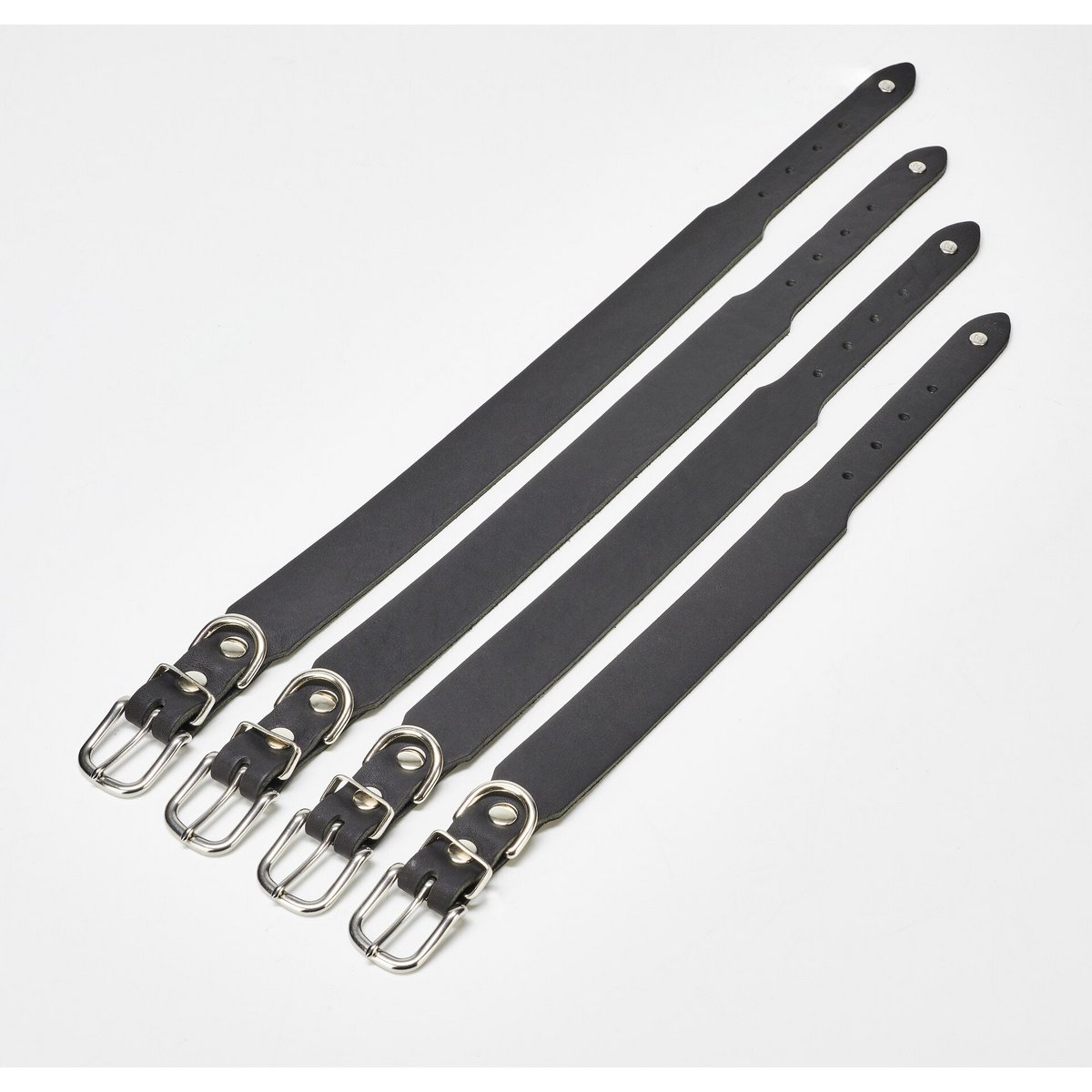 GIRO Black - Klassisches Halsband für jeden Einsatz - Tiny Paws Boutique