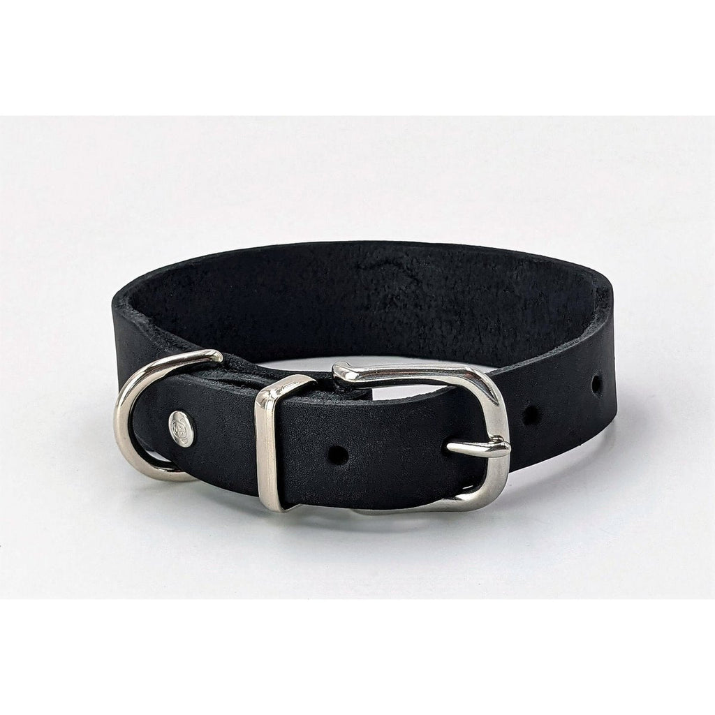 GIRO Black - Klassisches Halsband für jeden Einsatz - Tiny Paws Boutique