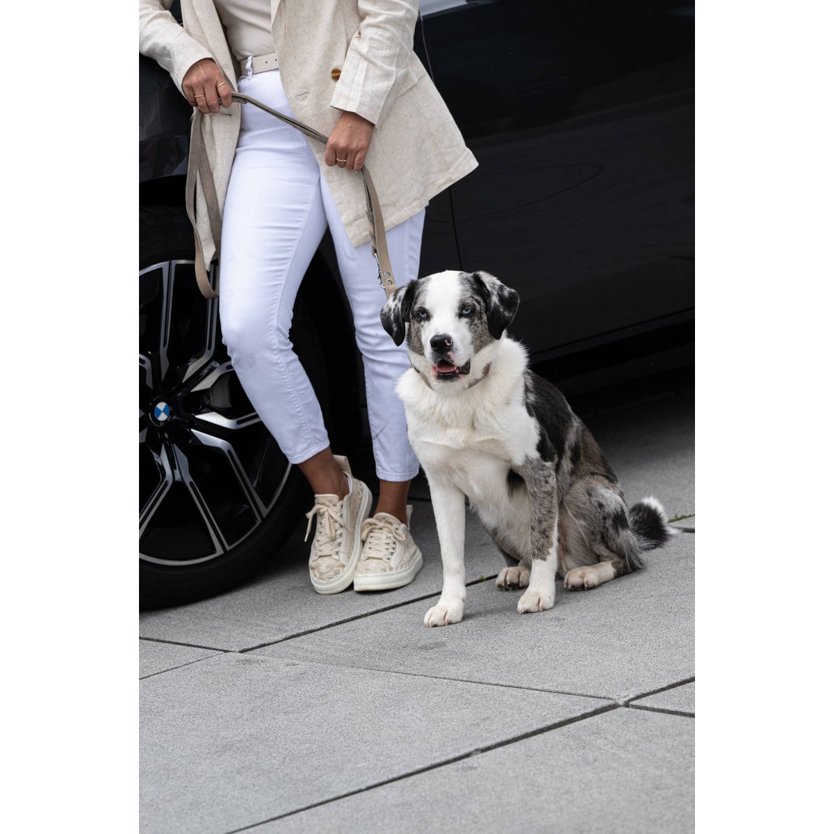 GIRO GREY - Klassische Leine für jeden Einsatz - Tiny Paws Boutique